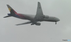 雨の中の着陸②