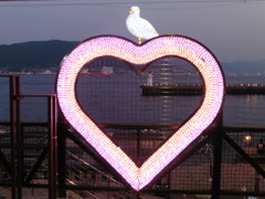 下関唐戸市場にて④