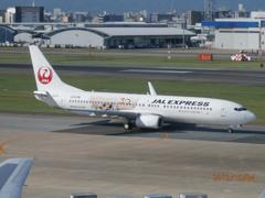 JAL　B737　ミッキー