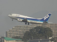 ANA  737-500  