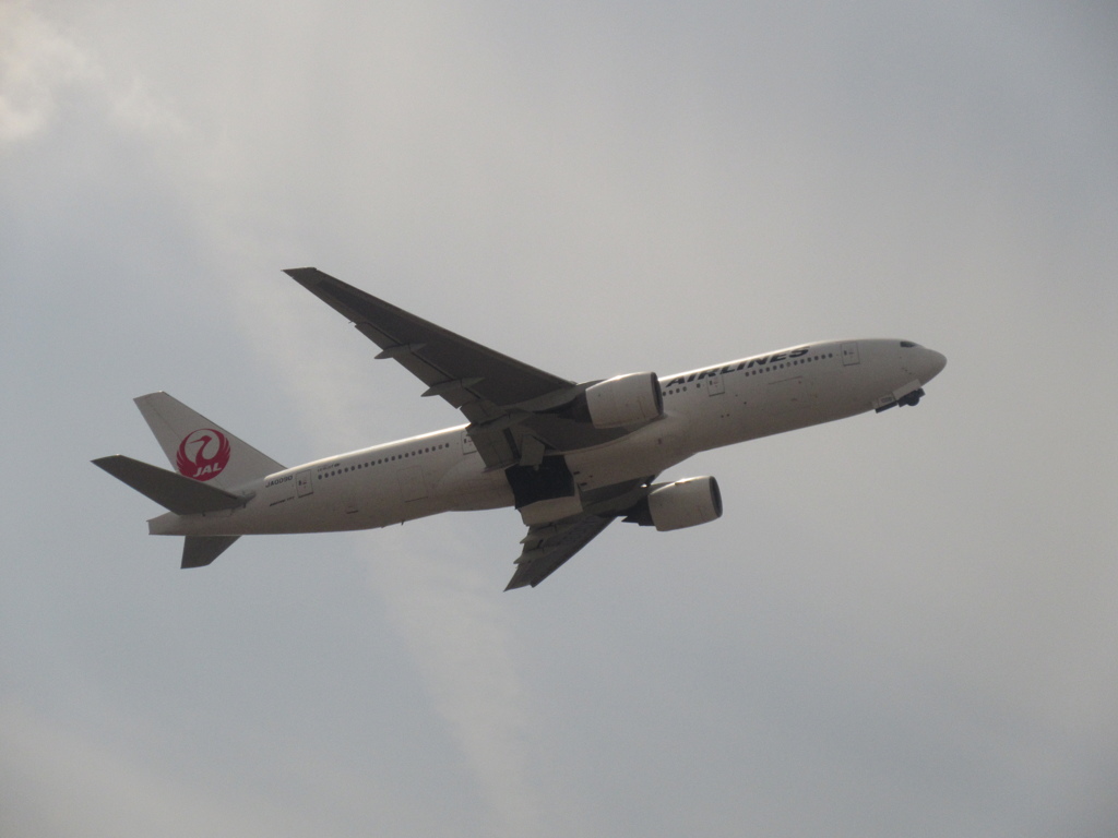 飛ぶ　JAL B767