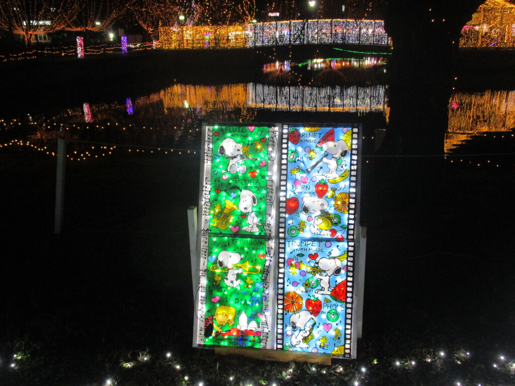 佐賀県鳥栖市中央公園のイルミネーション　⑱