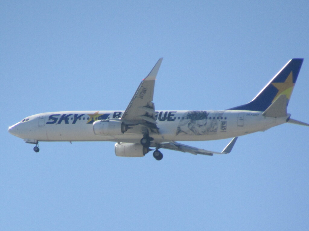 スカイマークのランディング  JA73NY