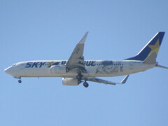 スカイマークのランディング  JA73NY