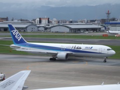 ANA　B767　八重の桜