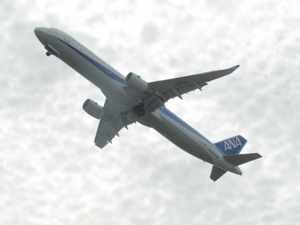 ANA  A321