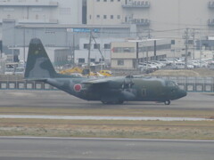 航空自衛隊C-103H　福岡空港にて