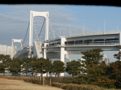 お台場海浜公園での光景②
