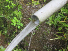流れ出る湧き水　①