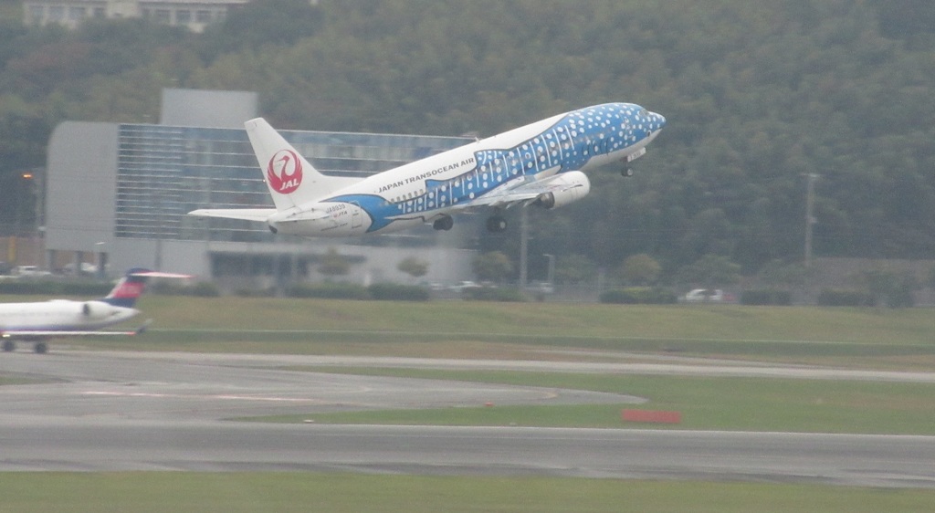 青のジンベエの離陸