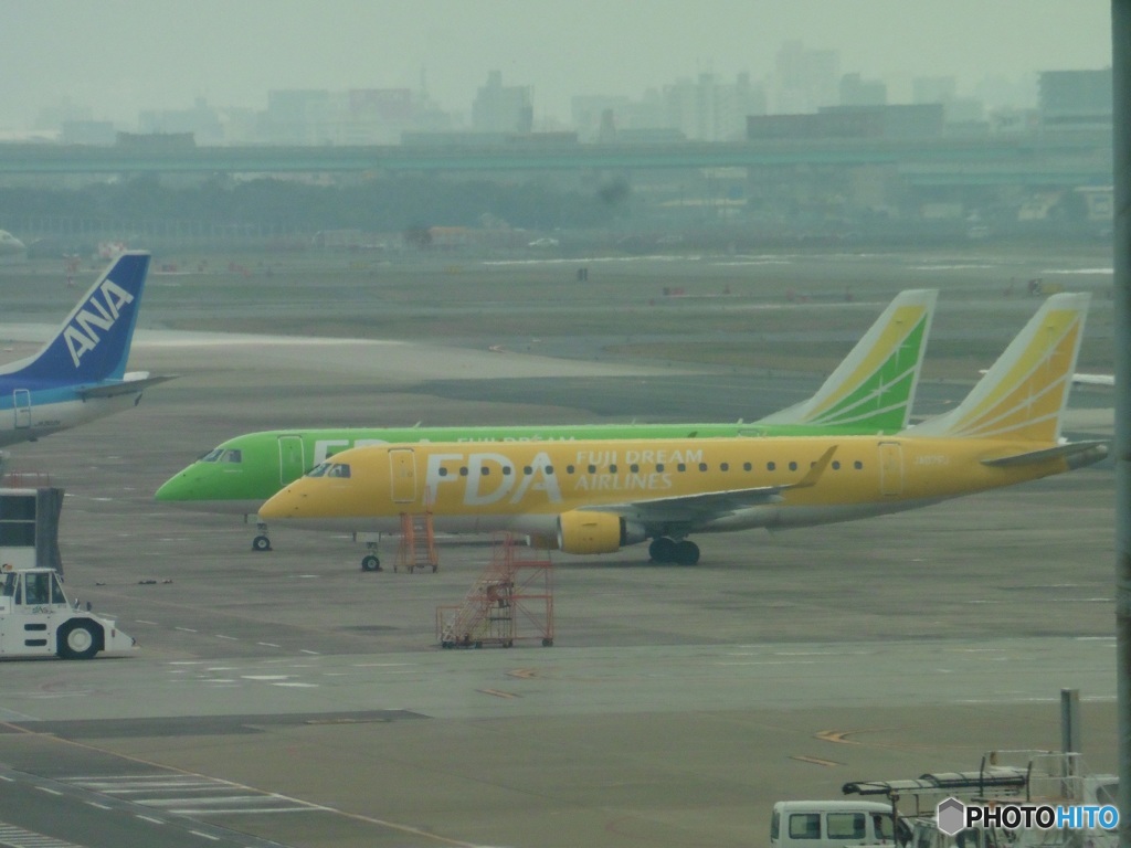 ティーグリーンとイエローが揃って