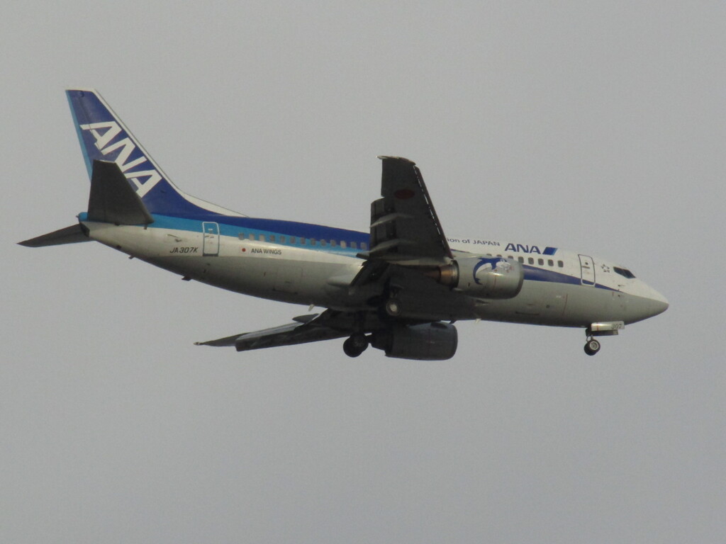 ANA  JA307K　福岡空港