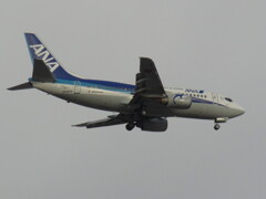 ANA  JA307K　福岡空港