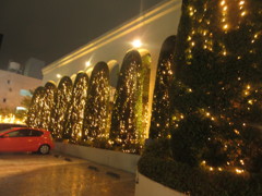 結婚式場のイルミネーション①