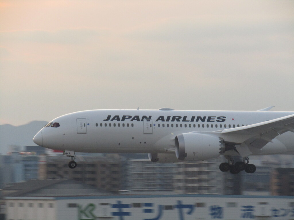 JAL  B787-8   JA847J  福岡空港到着　②