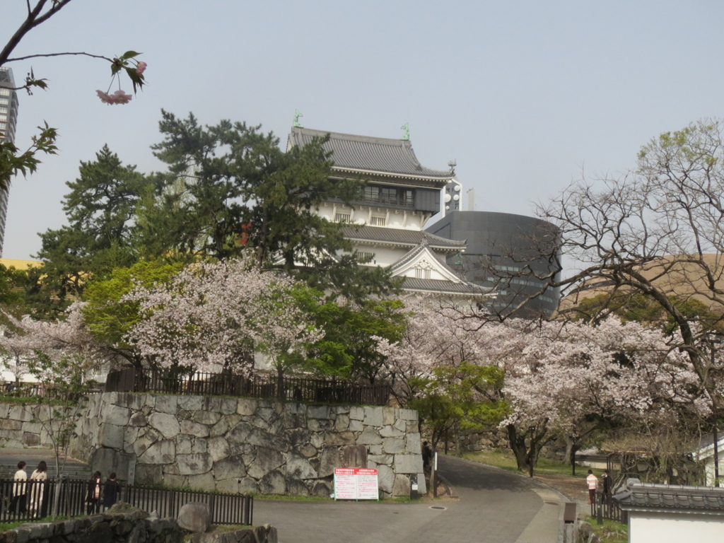 小倉城と桜　①
