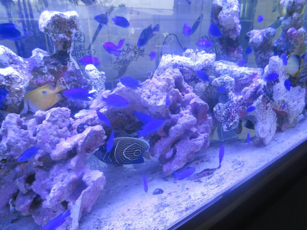 博多シティでの天空の水族館⑦
