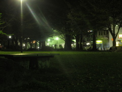 夜の公園①