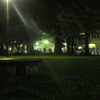 夜の公園①