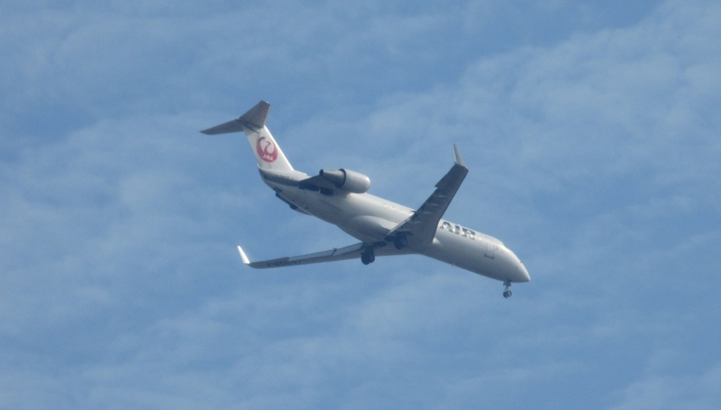 JAL　CRJ-200現る