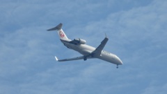 JAL　CRJ-200現る