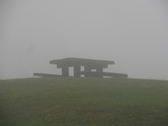 霧に覆われた山中　②