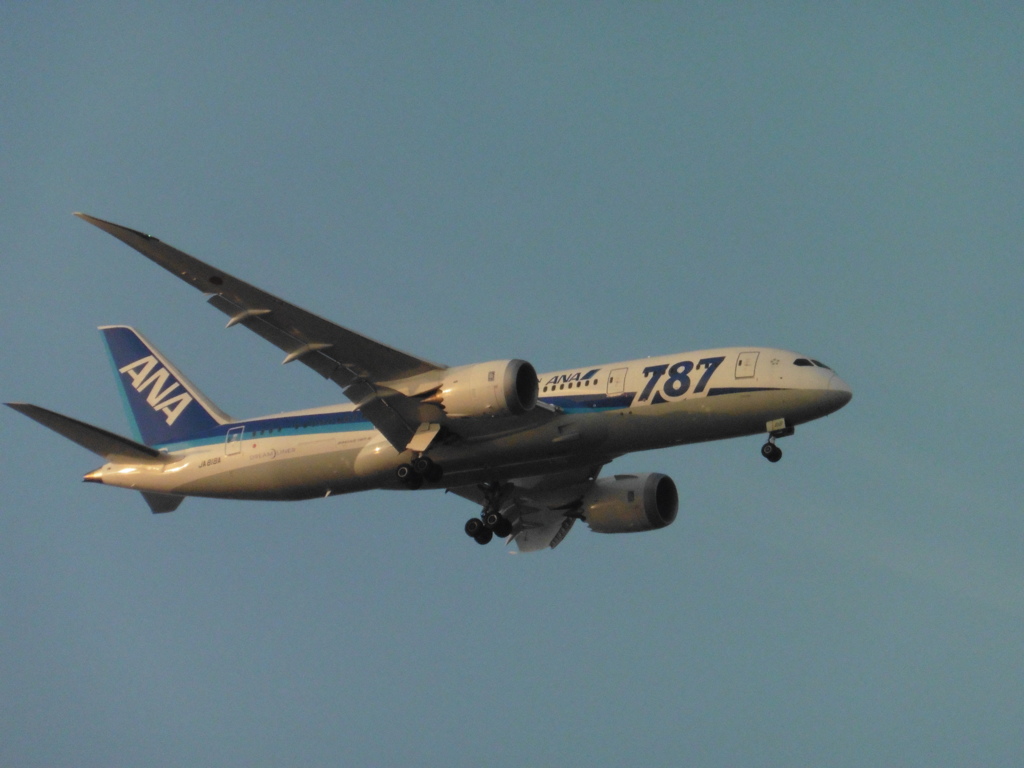 ANA　B787着陸