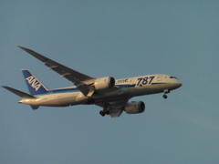 ANA　B787着陸