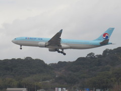 KOREAN AIR  A330-300  HL7554