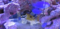 博多シティでの天空の水族館③
