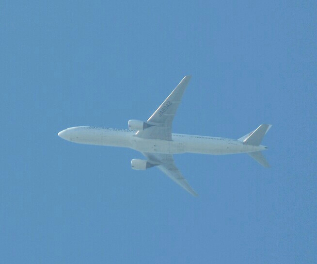 JAL B777-300