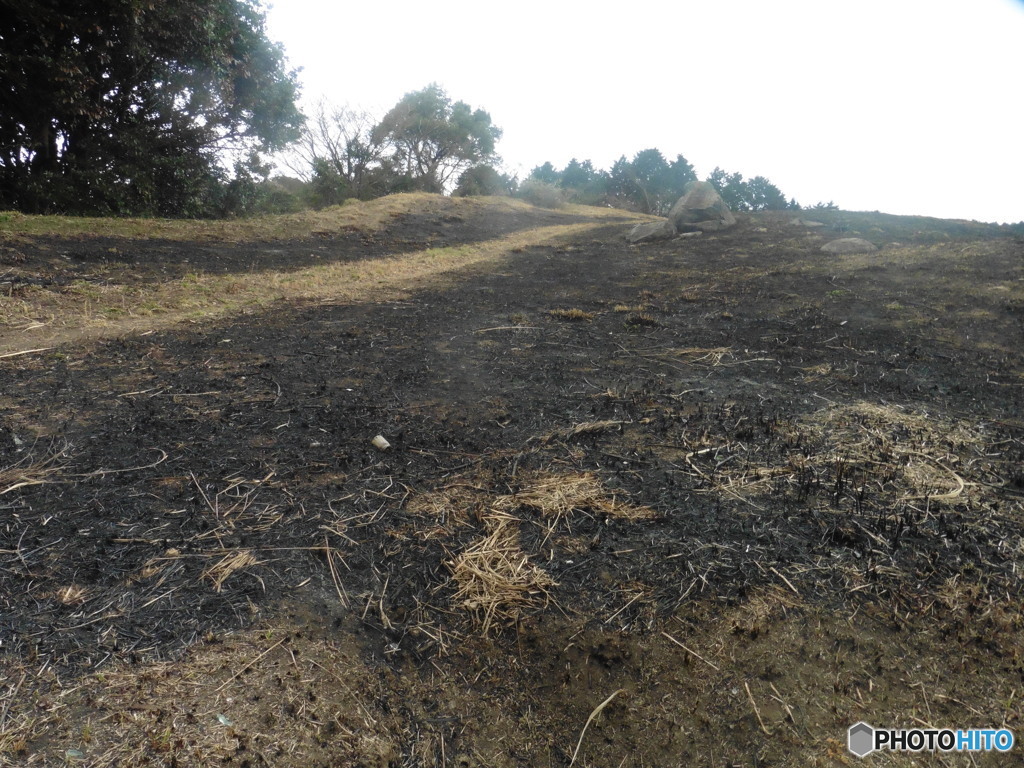 山焼き②