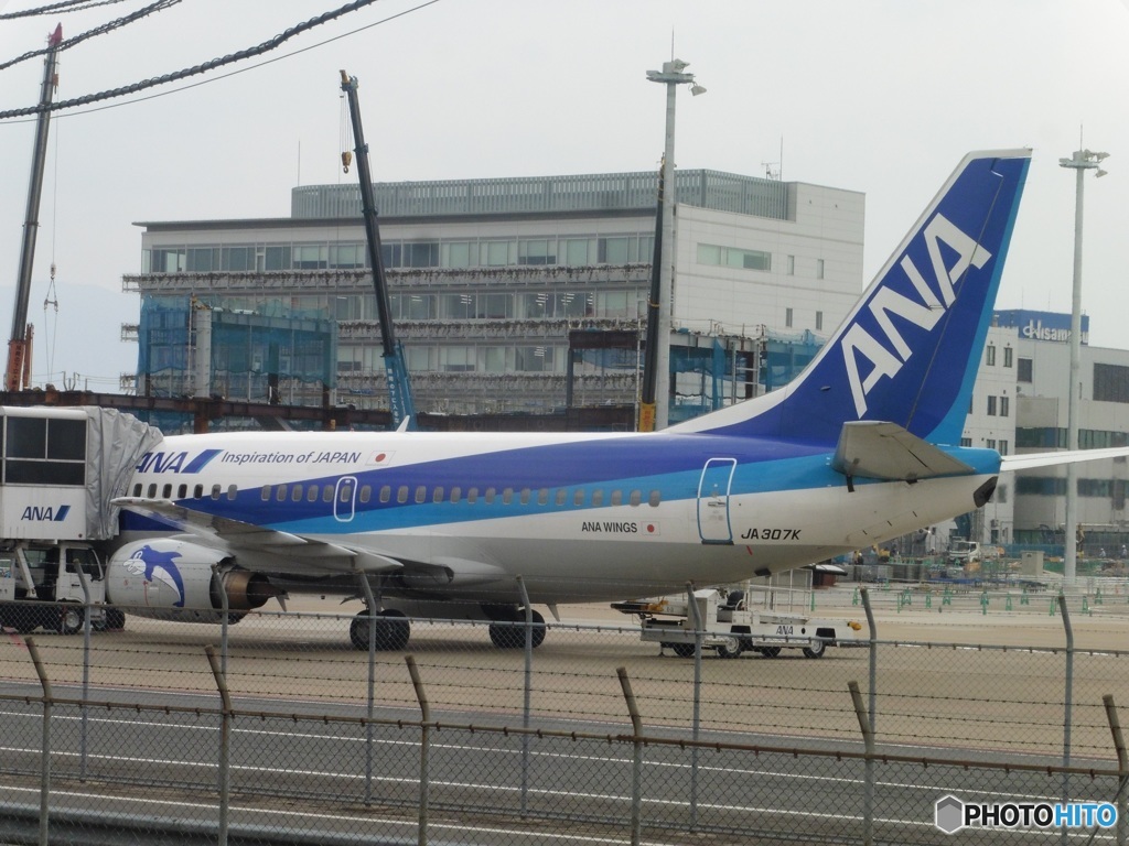 出発前のドルフィン