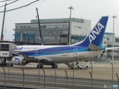 出発前のドルフィン