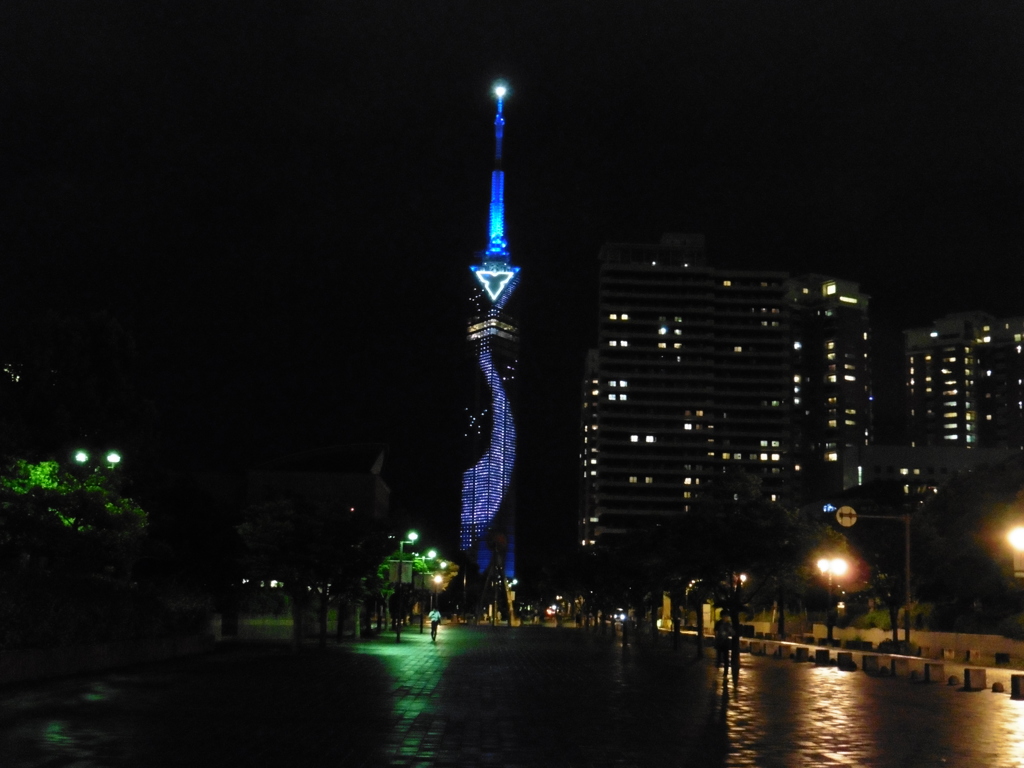 夜の福岡タワーにて②