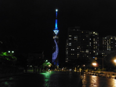 夜の福岡タワーにて②