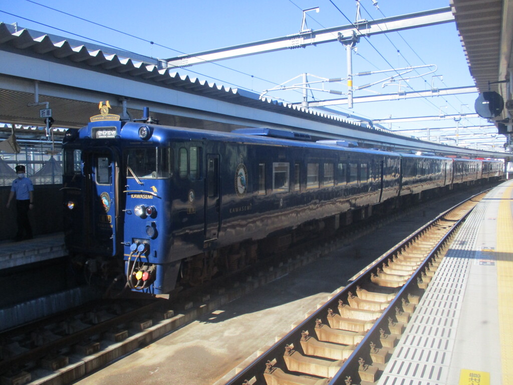 やませみかわせみいさぶろうしんぺい　①