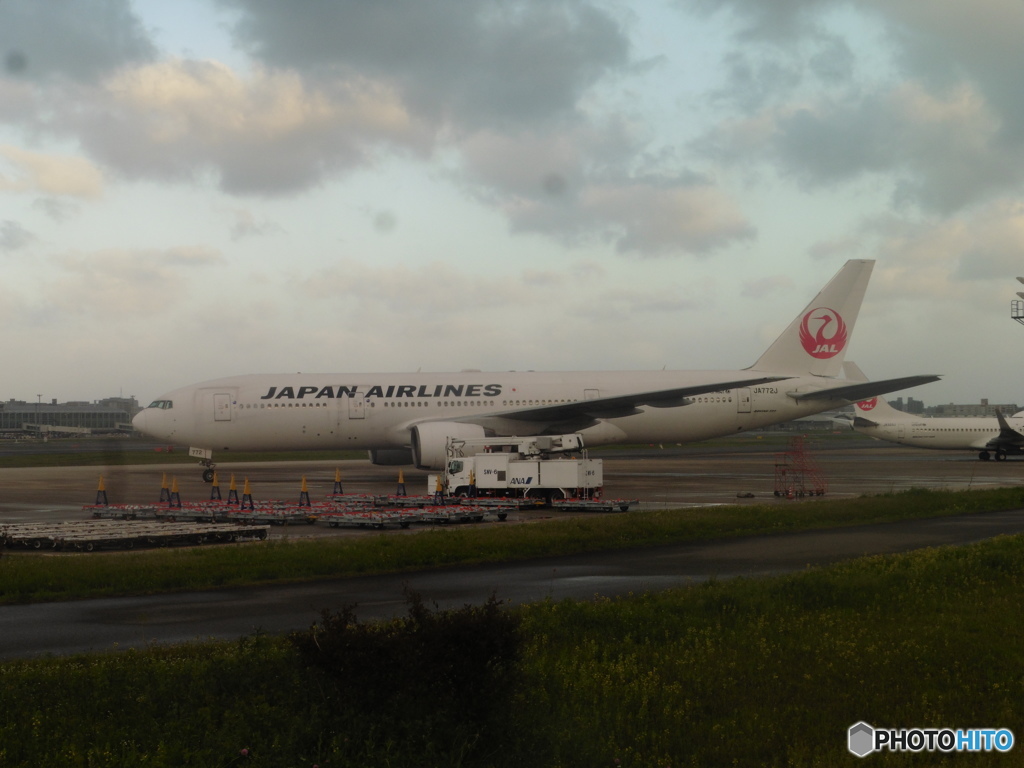 ナイトステイ①