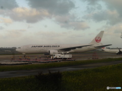 ナイトステイ①