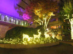 天神のクリスマス　⑪