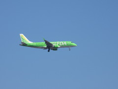 FDA ティーグリーン着陸