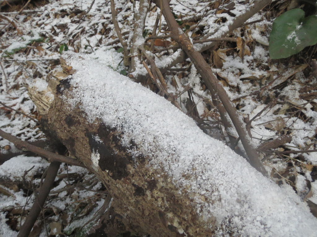 雪景色　4
