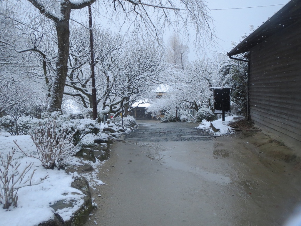 太宰府天開稲荷と雪　③