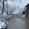 太宰府天開稲荷と雪　③