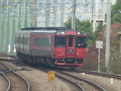 久留米駅に到着するキハ１８５特急ゆふ