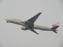 JAL  777-200 JA007D