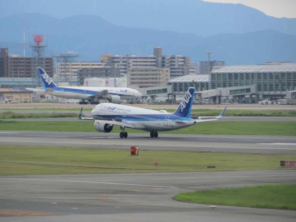 ANA  A320neo  福岡空港ランディング　②