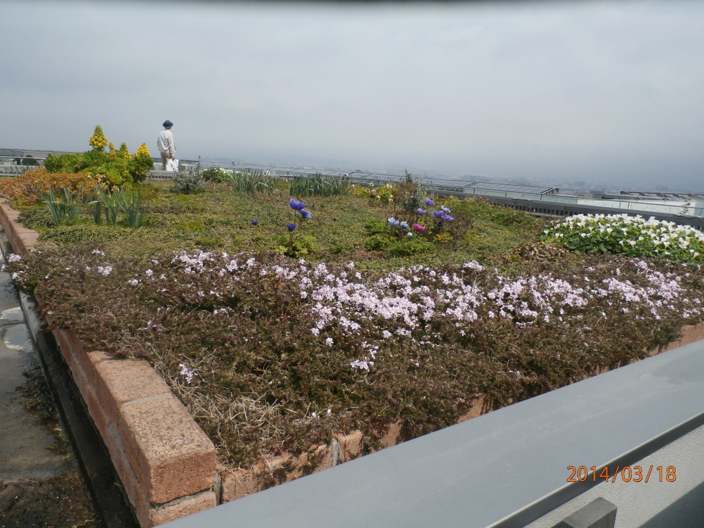 博多シティ屋上の花壇