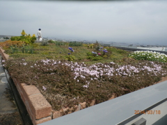 博多シティ屋上の花壇