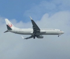 JAPAN TRANCE OCEAN  737-800